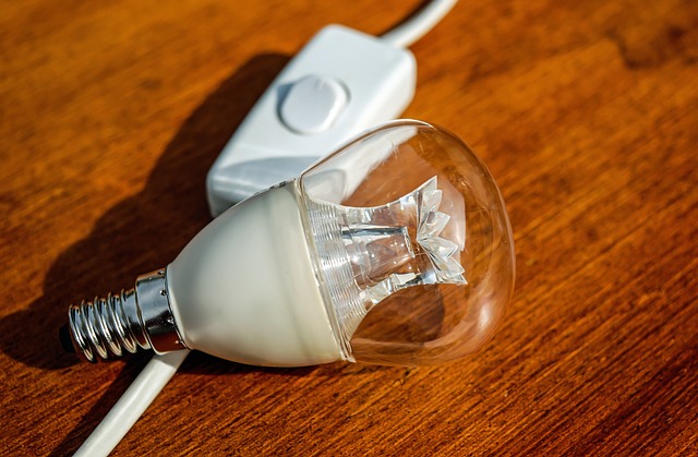 Elektro-Traktor: Od Stodoły do Startupu – Jak Elektryfikacja Maszyn Rolniczych Odmieni Oblicze Lokalnej Produkcji Żywności