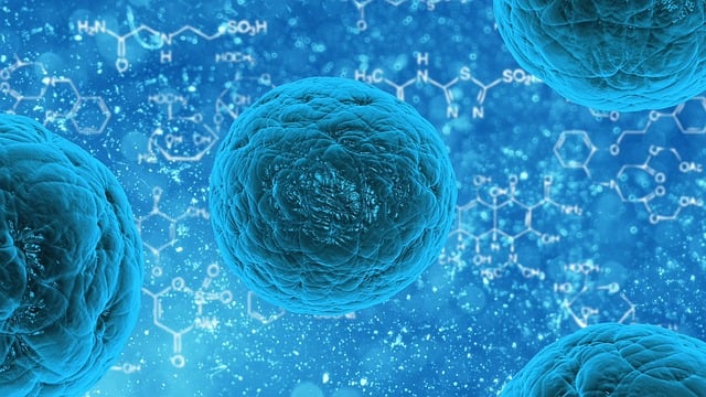 Dlaczego niektóre bakterie są niewidoczne gołym okiem, a inne mogą zabić? Odkrycia w mikrobiologii